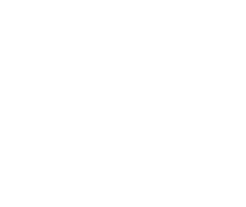 gato-lado-1