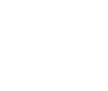 gato-lado-2