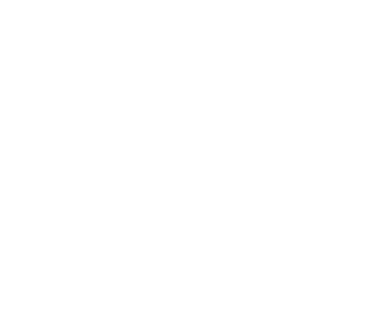 gato-lado-3