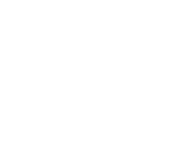 gato-lado-4