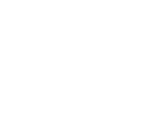 perro-lado-1