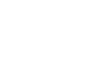 perro-lado-2