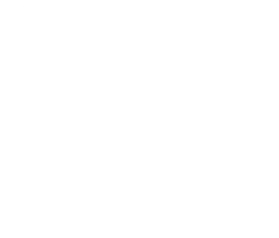 perro-lado-3