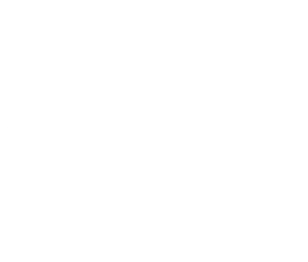 perro-lado-4